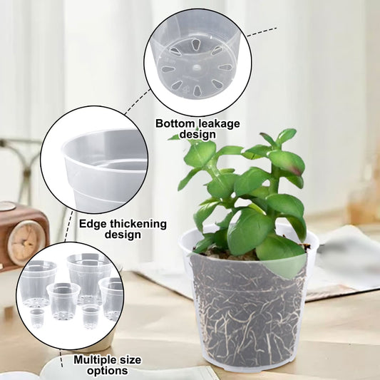 5-Pack 4" Clear Nursery Pots with Drainage Holes