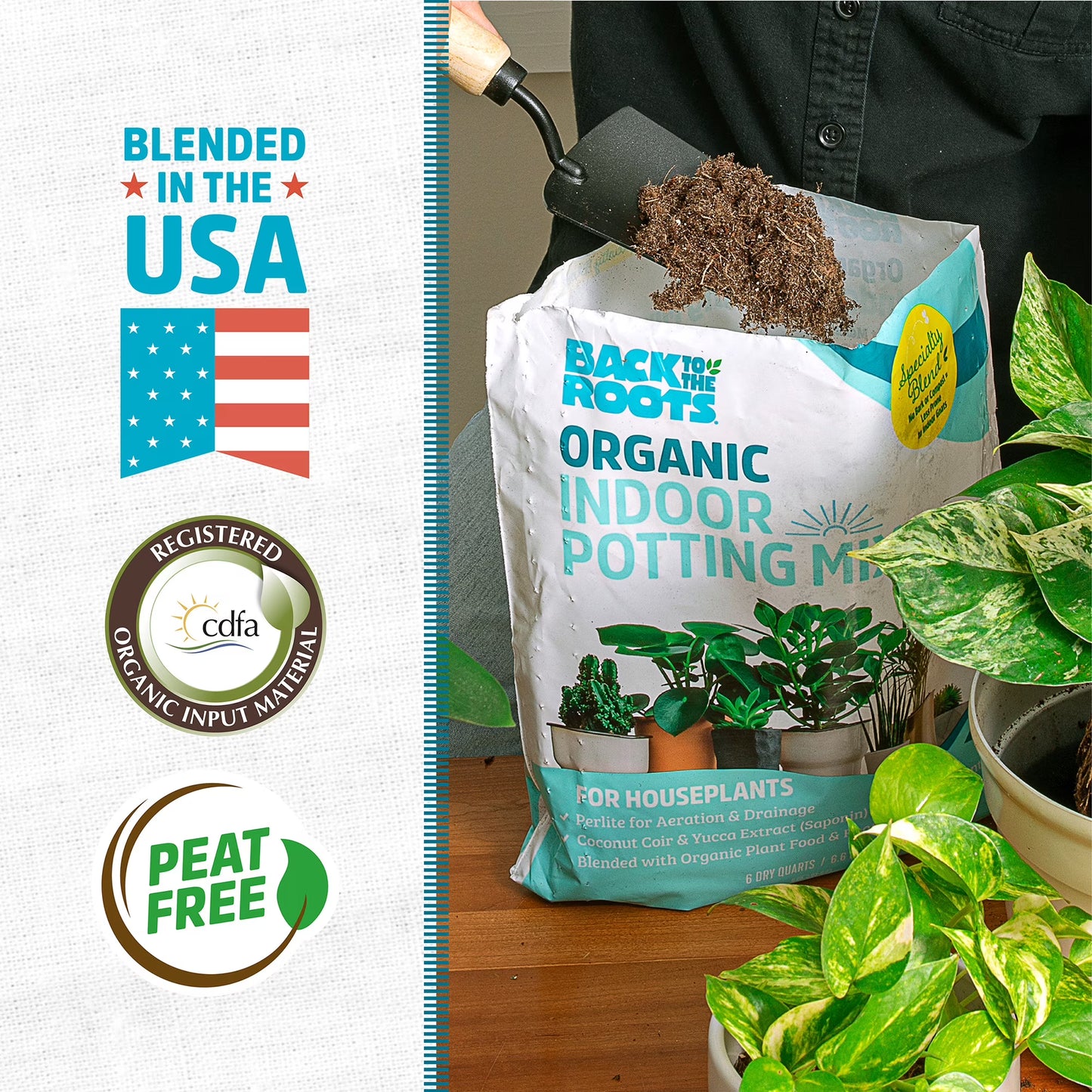 Back to the Roots Organic Indoor Potting Mix Specialty Blend (6 QT)