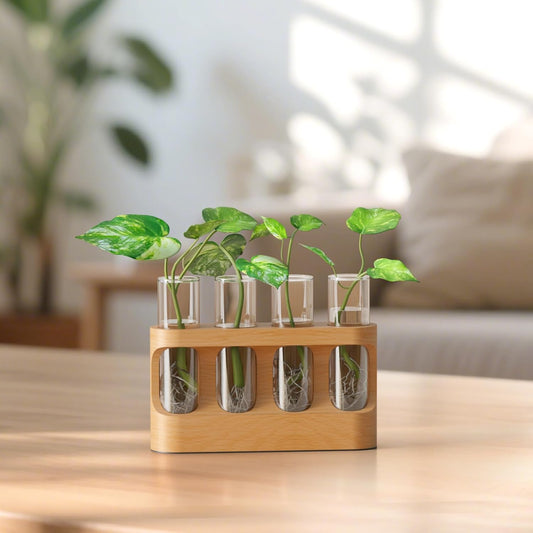 Plant Propagation Station with Adjustable LED Grow Lights