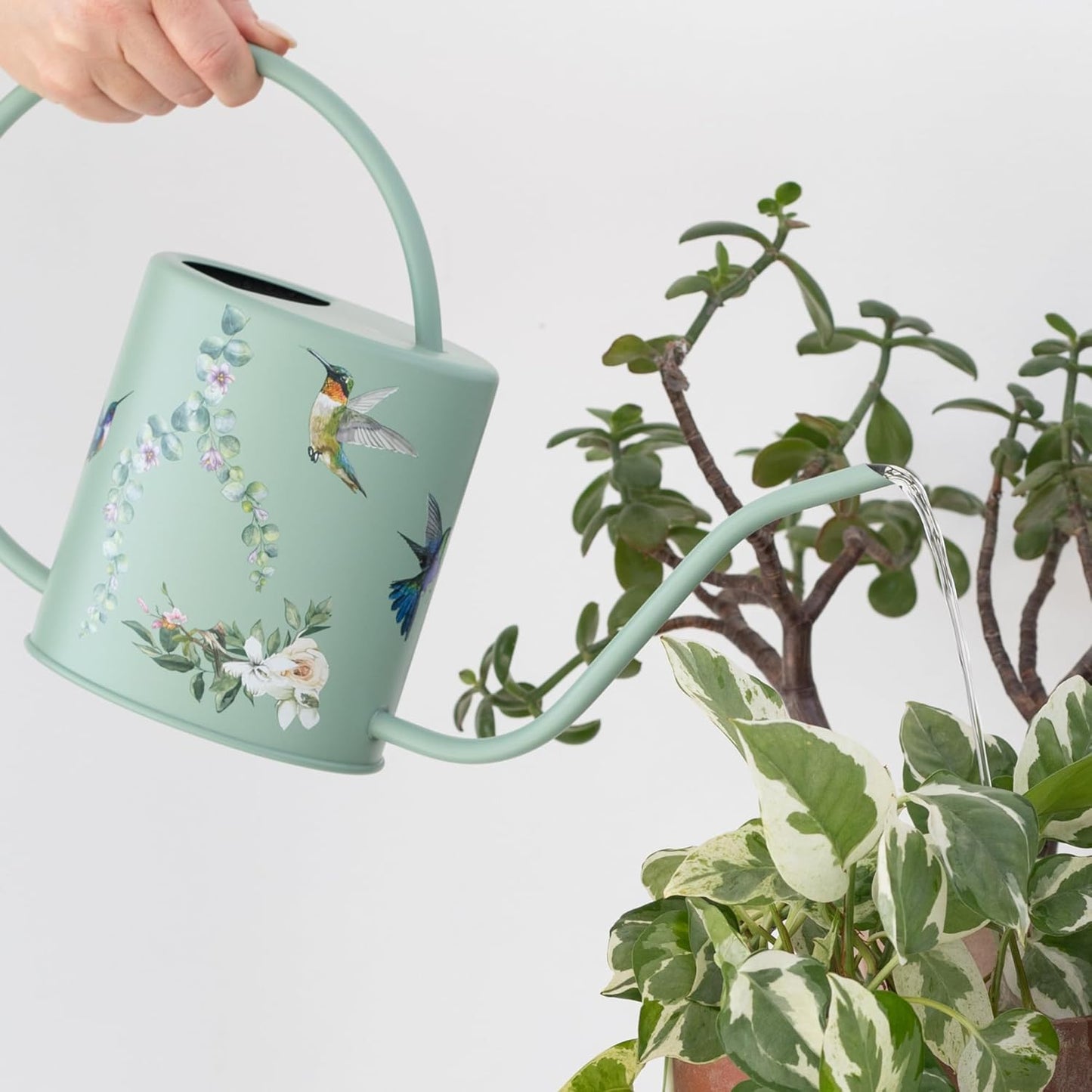 Indoor Watering Can with Spray Mist Bottle – 1.5L