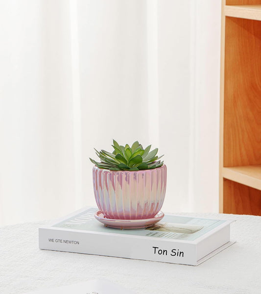 Ton Sin Pink Gold Ceramic Flower Pots Set of 3 with Saucers