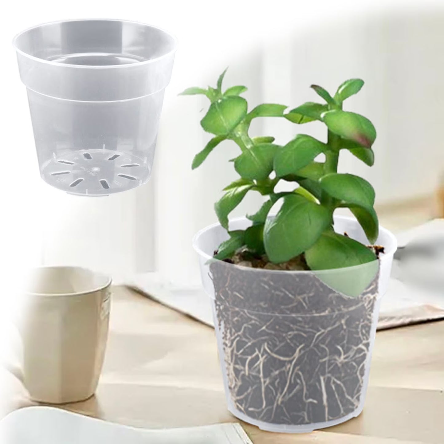 5-Pack 4" Clear Nursery Pots with Drainage Holes