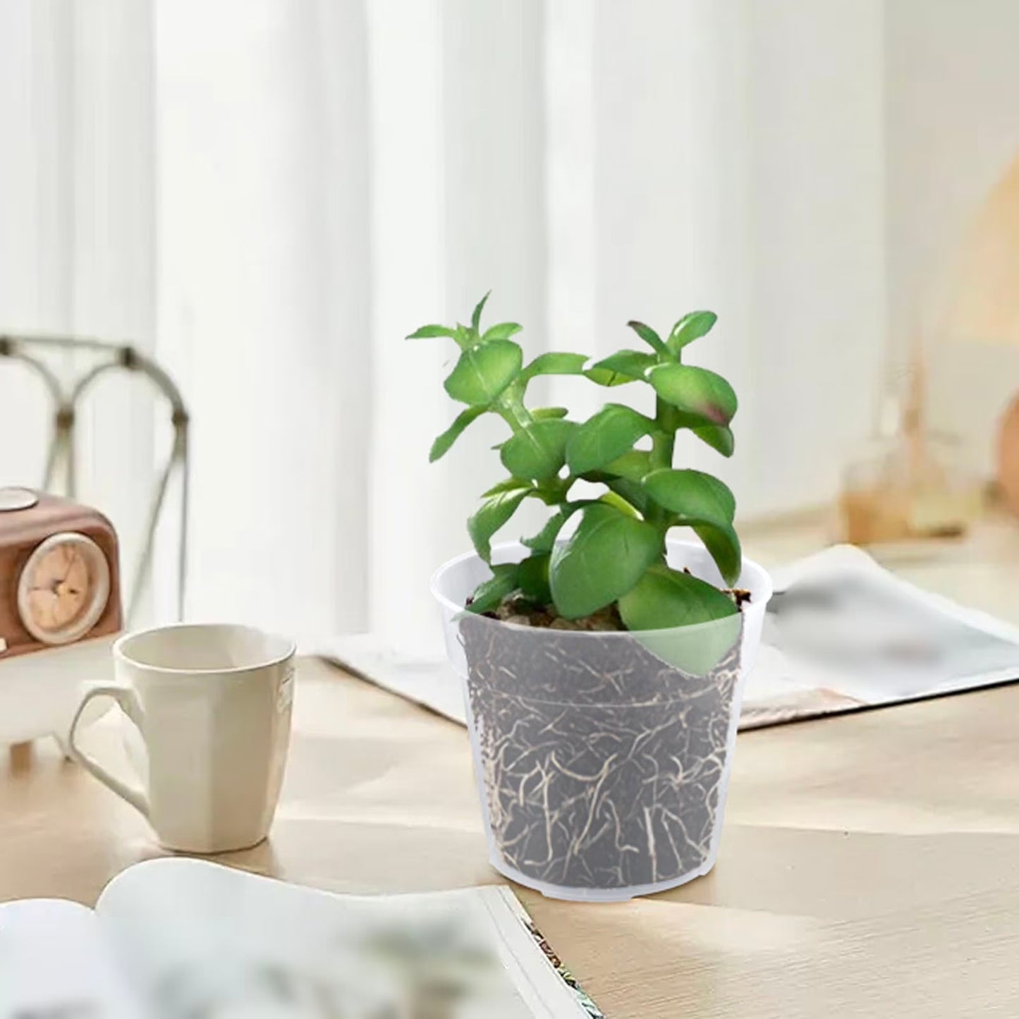 5-Pack 4" Clear Nursery Pots with Drainage Holes