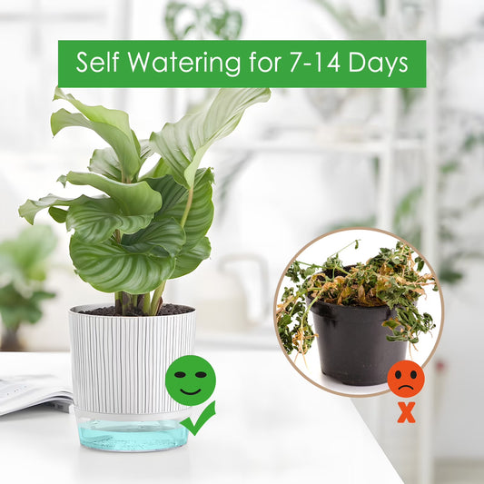 Samhe 4-Pack Self-Watering Planter Pots with Reservoir