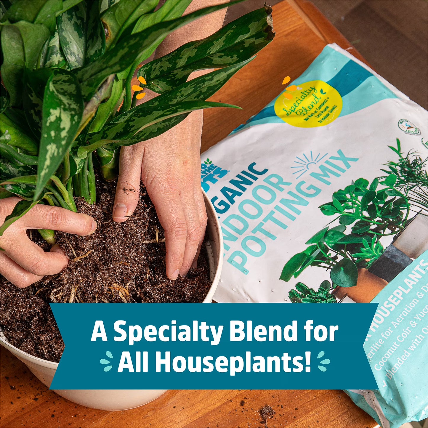 Back to the Roots Organic Indoor Potting Mix Specialty Blend (6 QT)