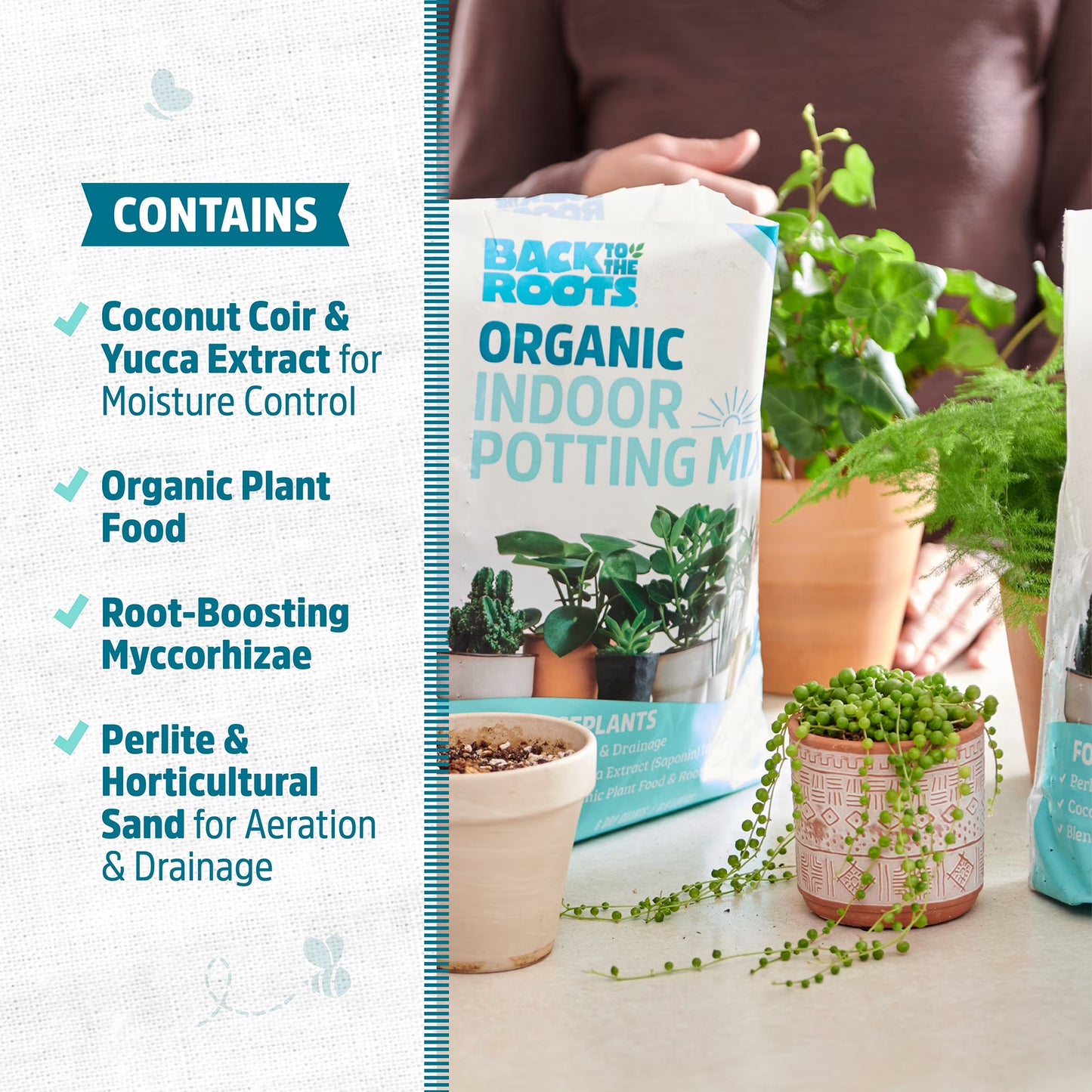 Back to the Roots Organic Indoor Potting Mix Specialty Blend (6 QT)