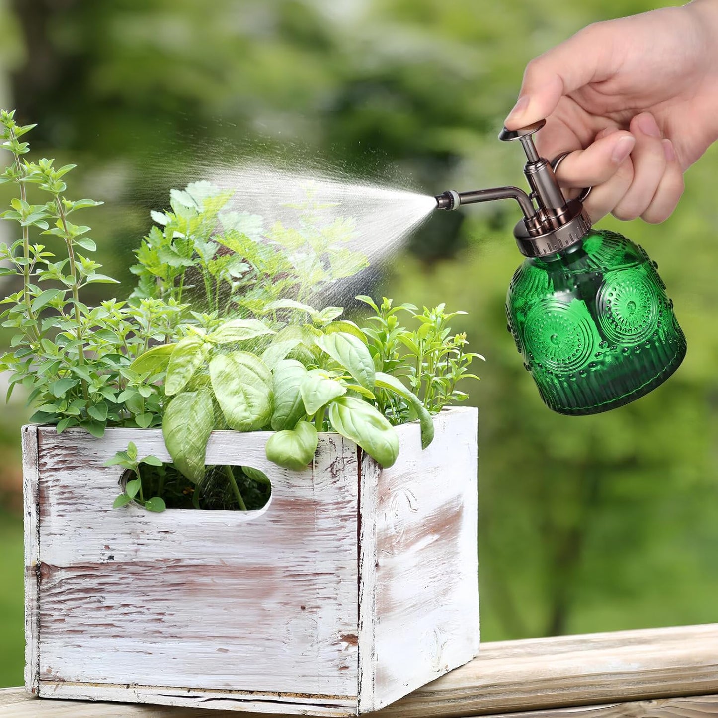 BESPORTBLE Green Glass Plant Mister Spray Bottle