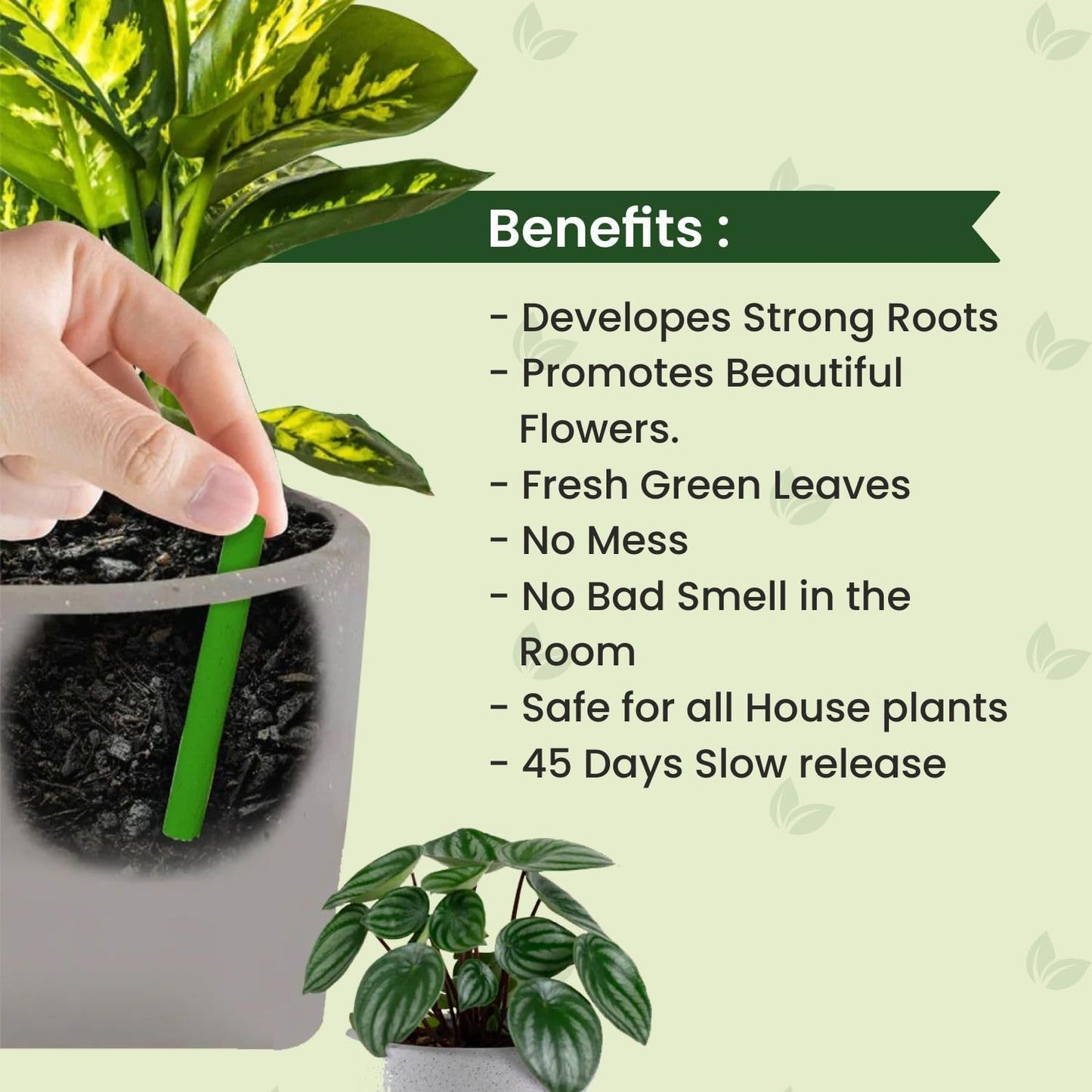 Plant Food Fertilizer Sticks – 40 Count