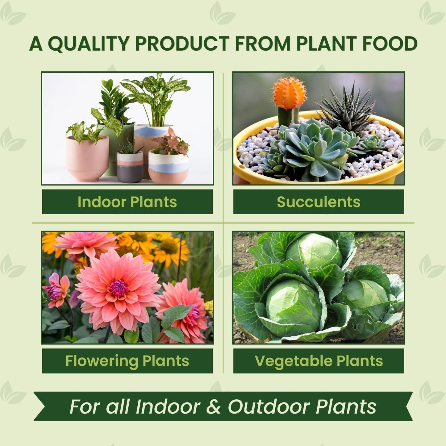 Plant Food Fertilizer Sticks – 40 Count