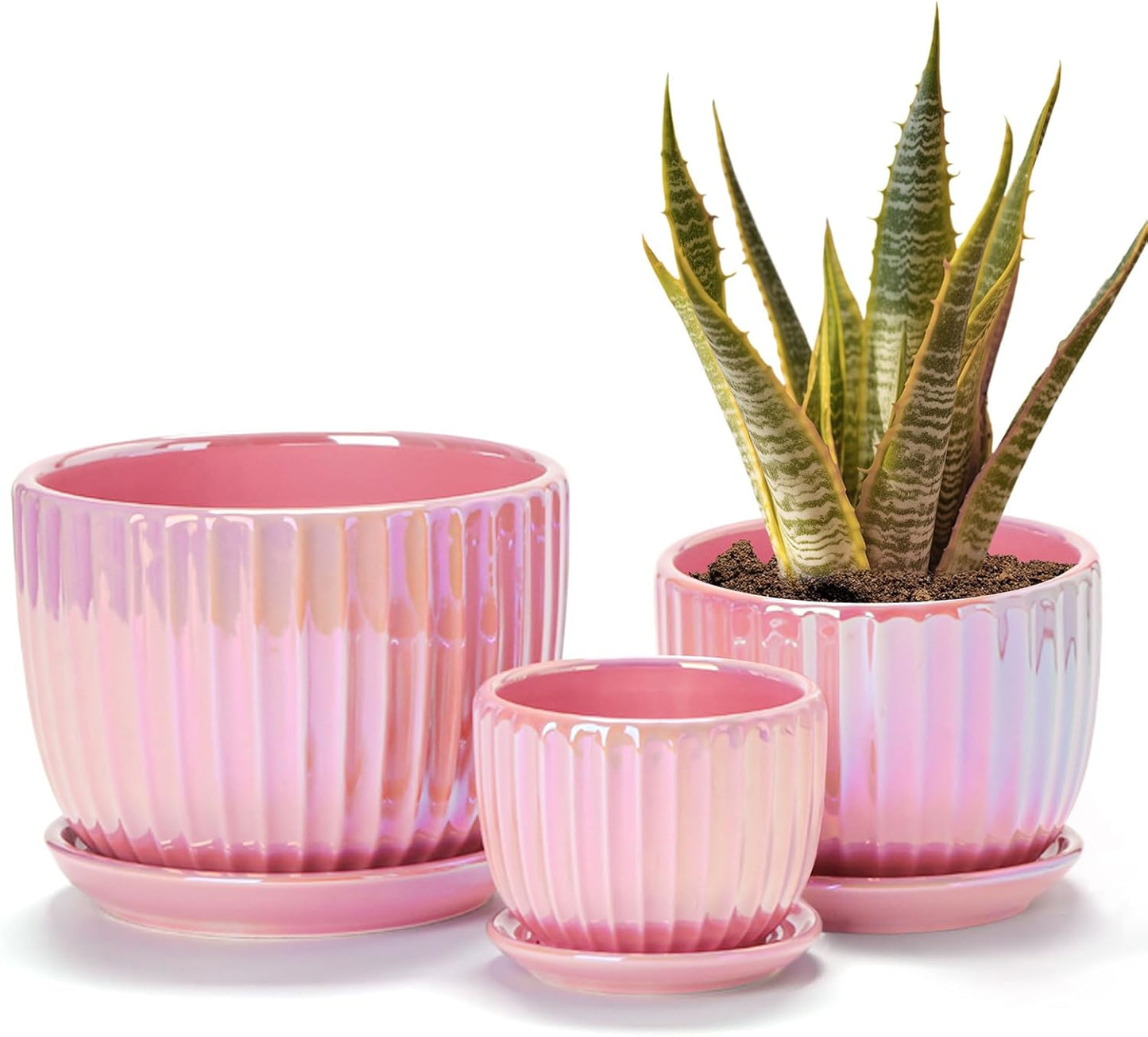 Ton Sin Pink Gold Ceramic Flower Pots Set of 3 with Saucers