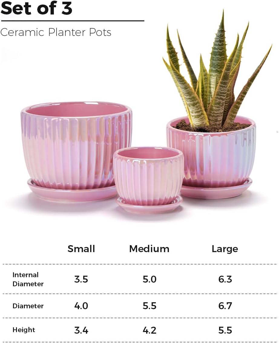 Ton Sin Pink Gold Ceramic Flower Pots Set of 3 with Saucers