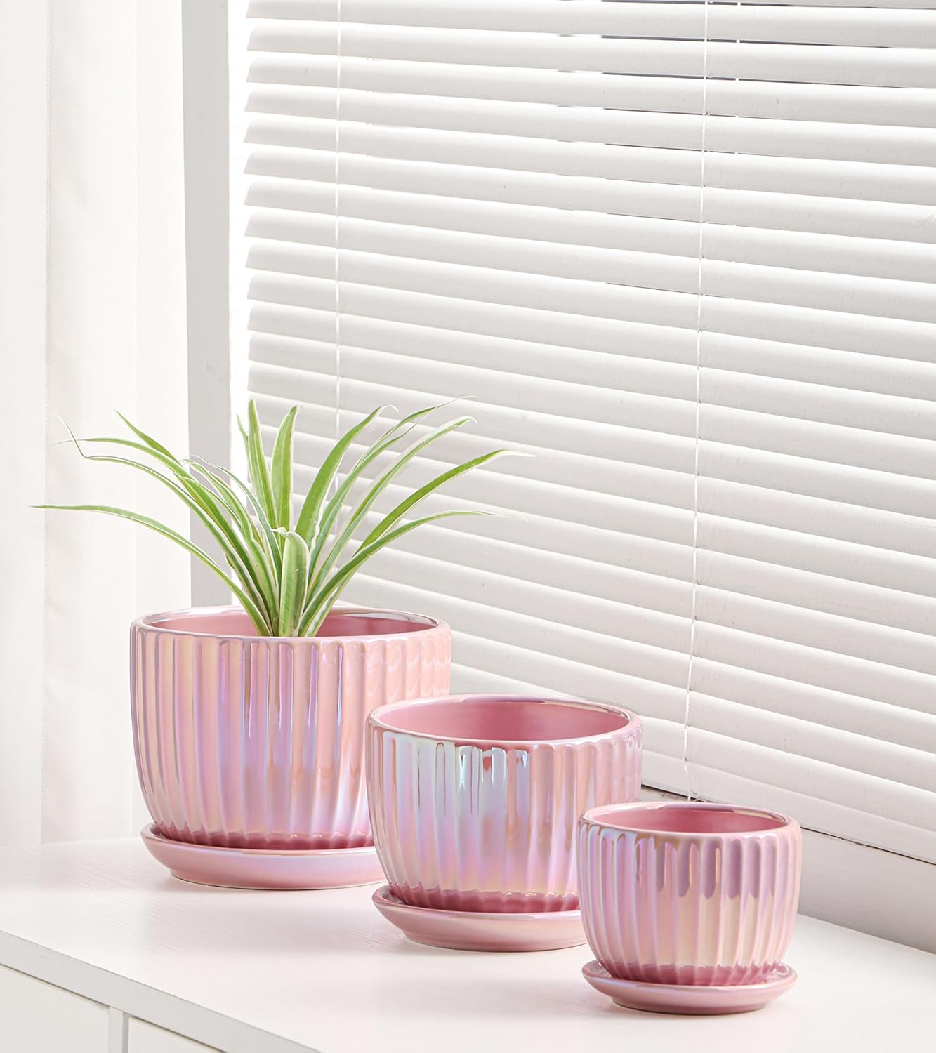 Ton Sin Pink Gold Ceramic Flower Pots Set of 3 with Saucers