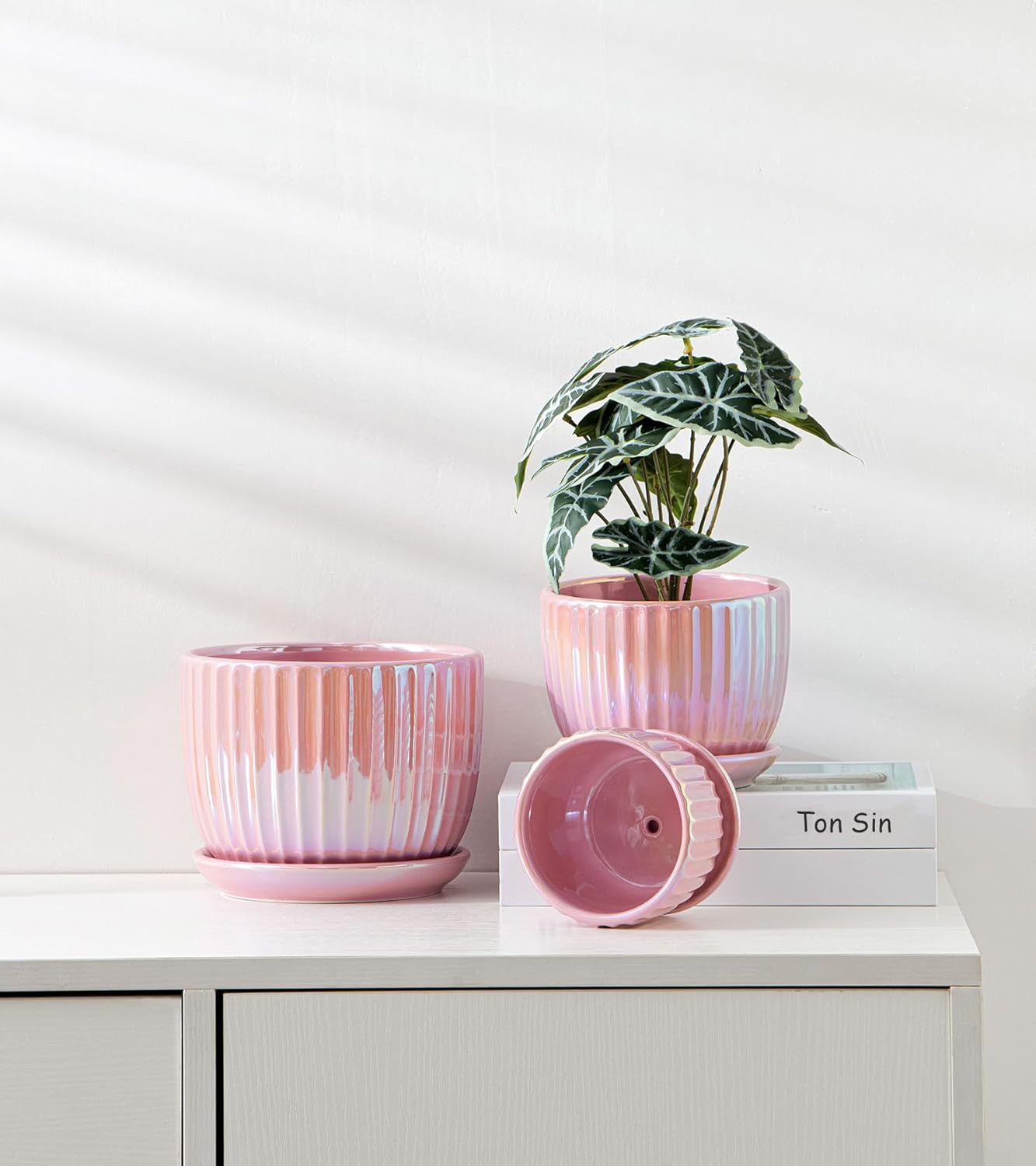 Ton Sin Pink Gold Ceramic Flower Pots Set of 3 with Saucers