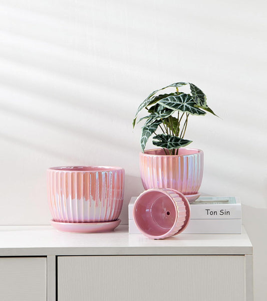 Ton Sin Pink Gold Ceramic Flower Pots Set of 3 with Saucers