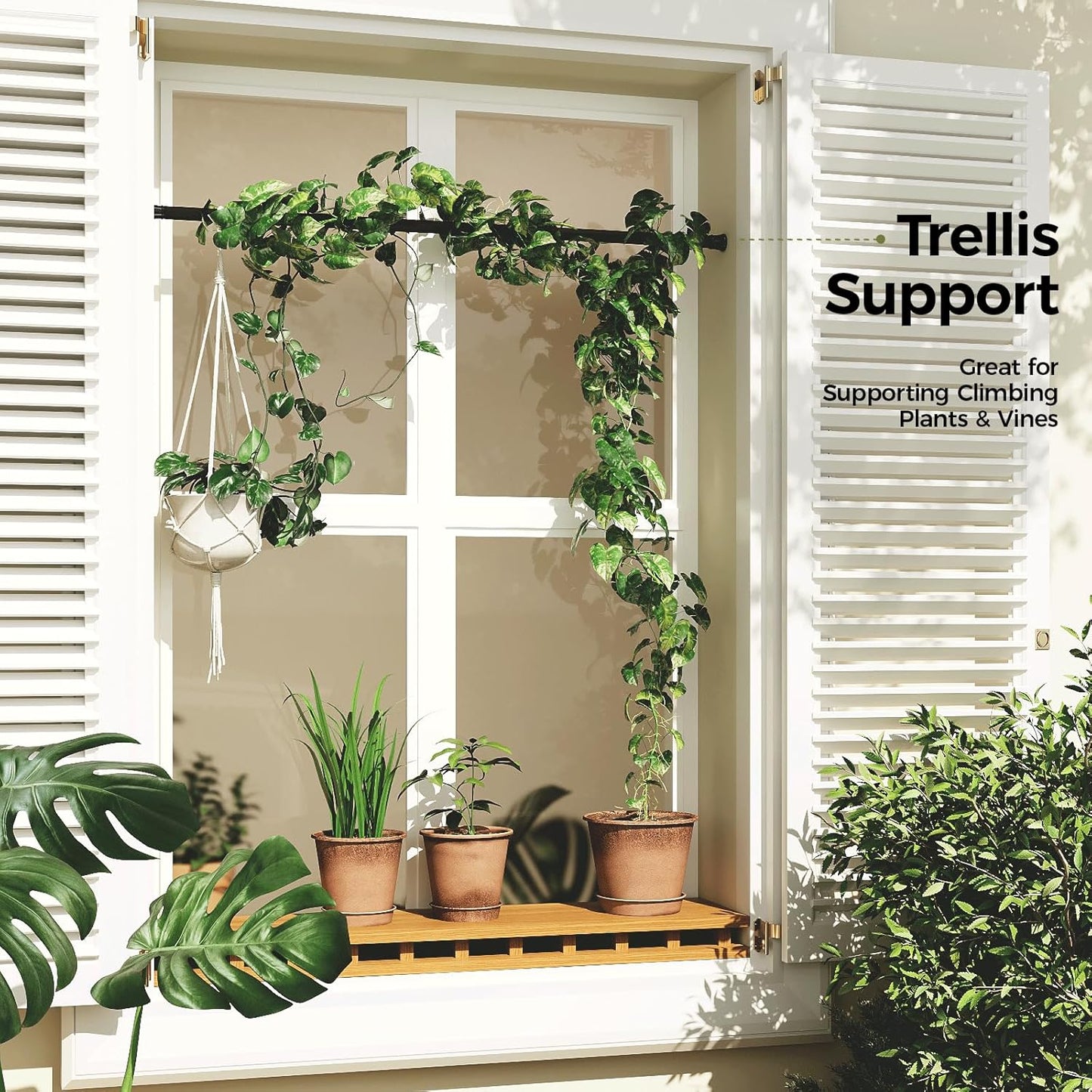 Bamworld Adjustable Window Plant Hanger for Indoor Plants