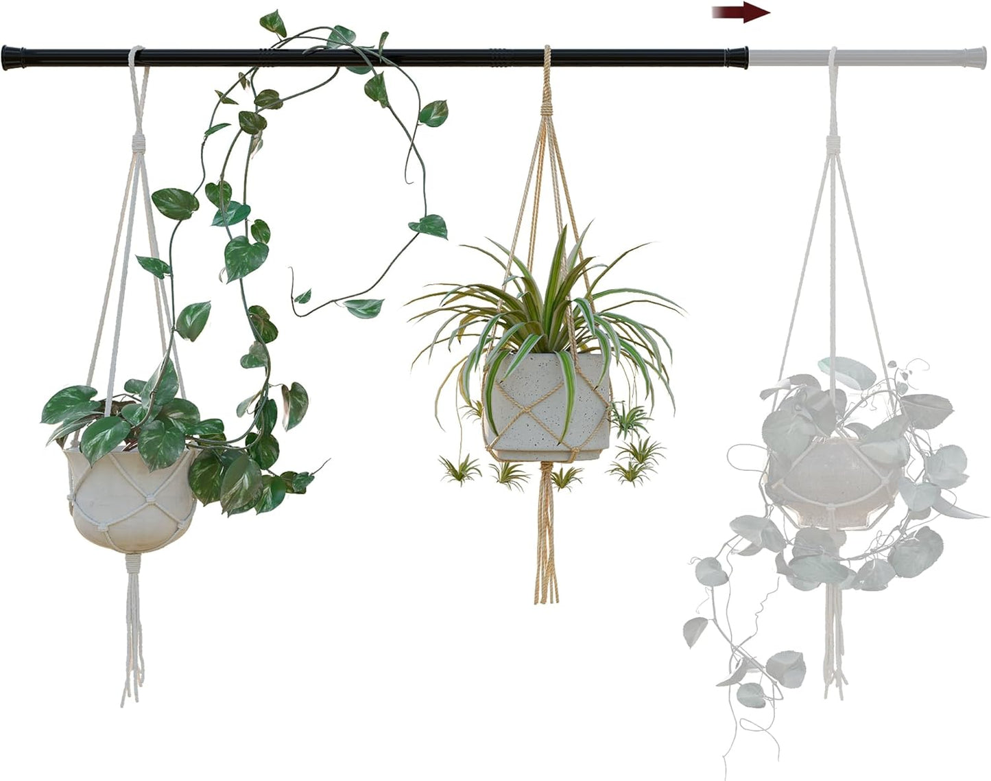 Bamworld Adjustable Window Plant Hanger for Indoor Plants